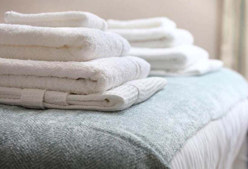 스탠다드 룸, Virginia House Bed And Breakfast