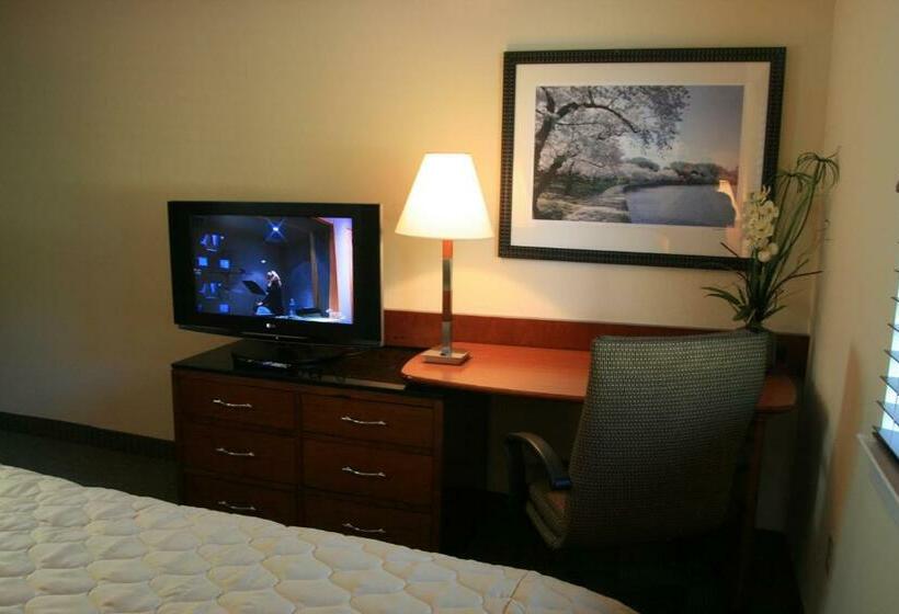 스위트 킹사이즈 침대, Affordable Suites Of America Stafford Quantico