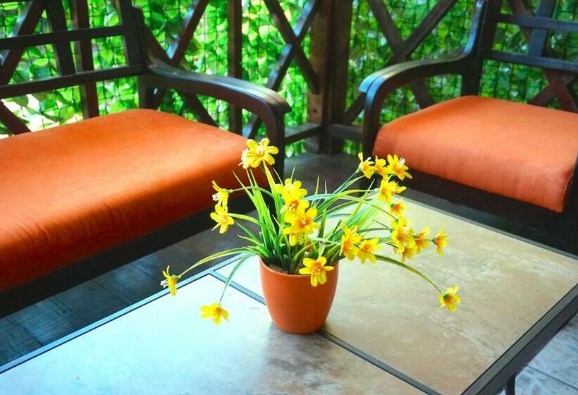 جناح جونيور, Aurora