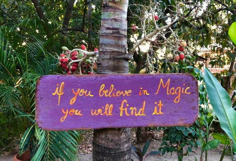 جناح جونيور, Aurora