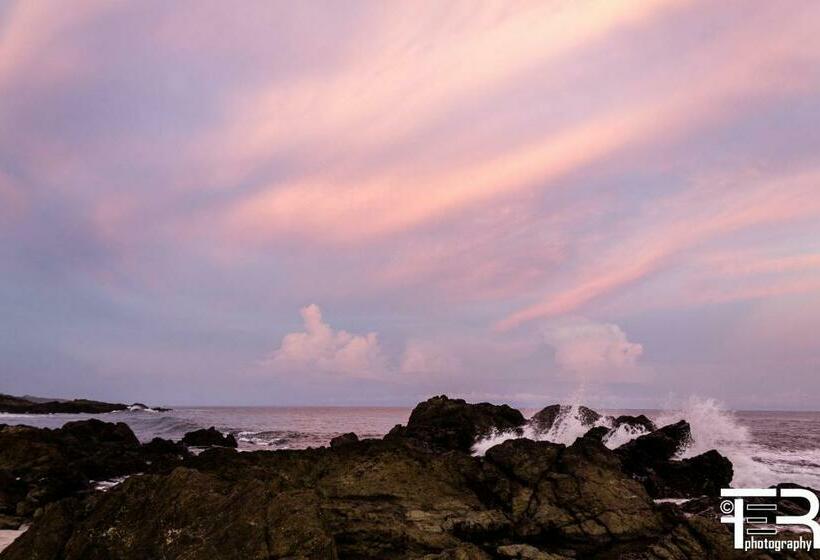 جناح جونيور, Aurora