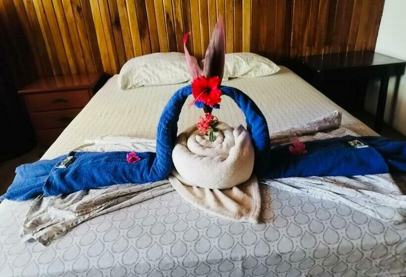 جناح جونيور, Aurora