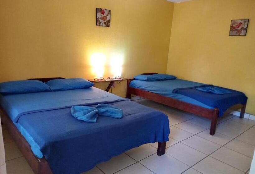 غرفة قياسية, Aurora