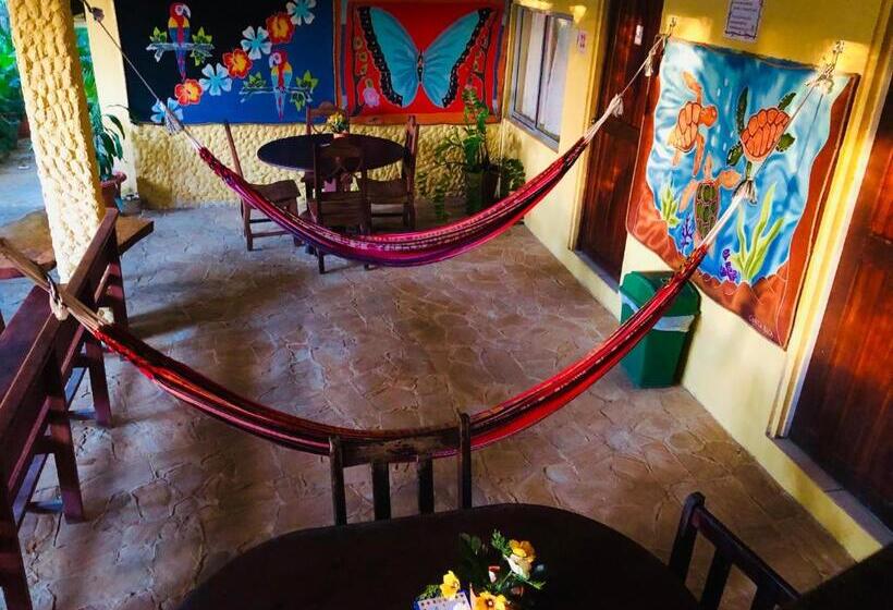 غرفة قياسية, Aurora