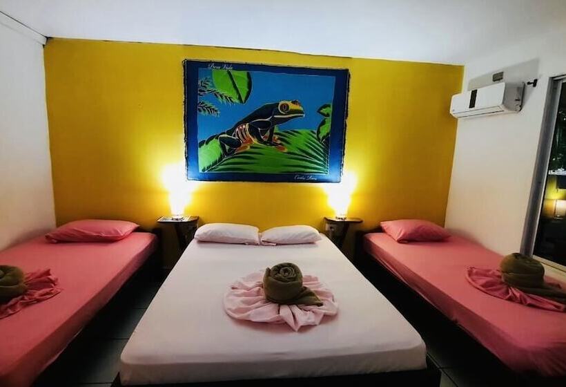 غرفة قياسية, Aurora