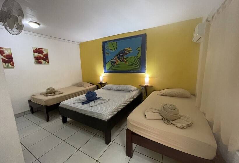 غرفة قياسية, Aurora