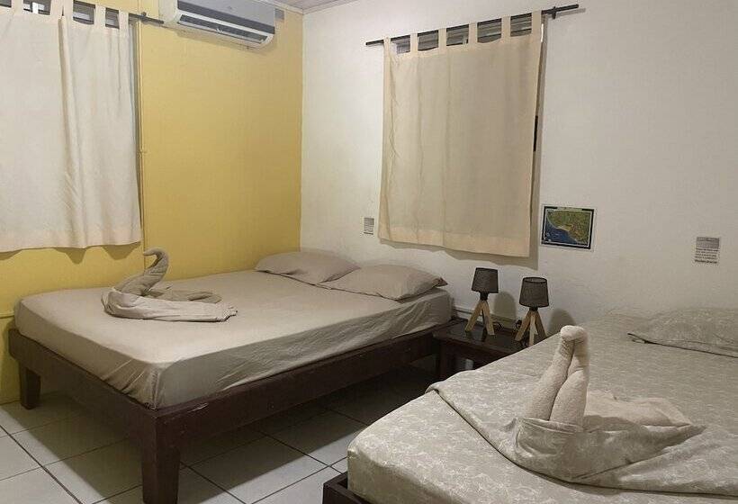 غرفة قياسية, Aurora