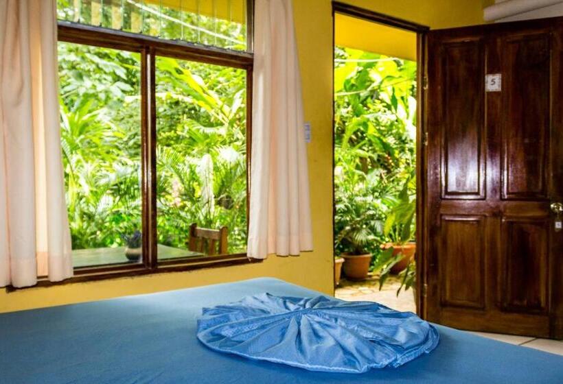 غرفة قياسية, Aurora