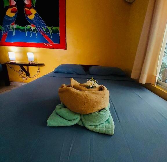 غرفة قياسية, Aurora