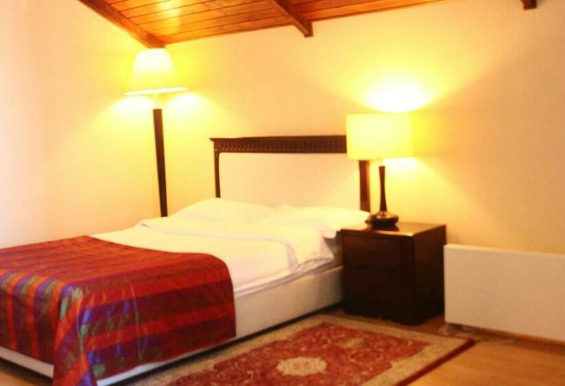 اتاق استاندارد یک نفره, Tianshan