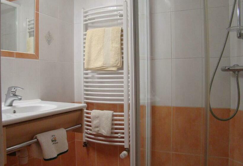 スタンダードルーム, Du Lion Vert