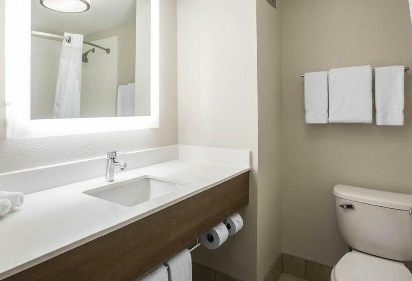 غرفة قياسية, Holiday Inn Express & Suites   Jacksonville W   I295 And I10, An Ihg