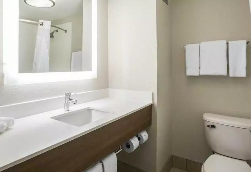 スタンダードルーム, Holiday Inn Express & Suites   Jacksonville W   I295 And I10, An Ihg