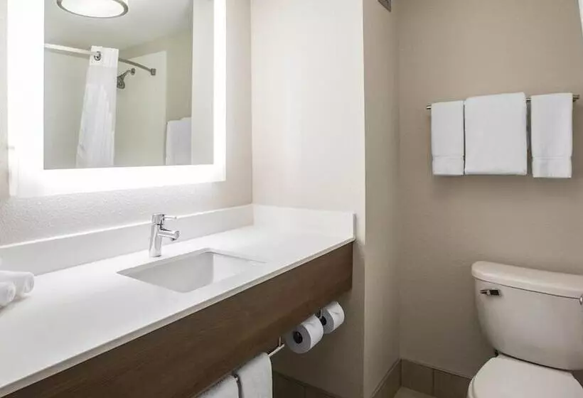 身障者適用スイートルーム, Holiday Inn Express & Suites   Jacksonville W   I295 And I10, An Ihg