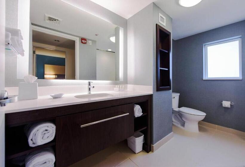 Студио Стандарт Кровать Кинг, Residence Inn By Marriott Philadelphia Glen Mills/concordville
