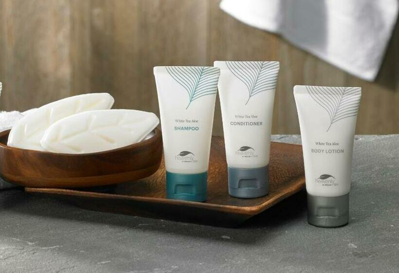 غرفة قياسية مطلة على المدينة, The Westin Sarasota