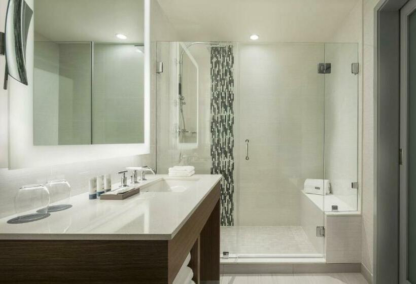 غرفة قياسية مطلة على المدينة, The Westin Sarasota