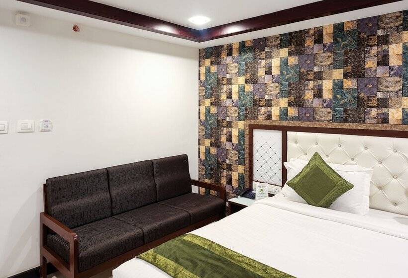 豪华房间, Treebo Empire