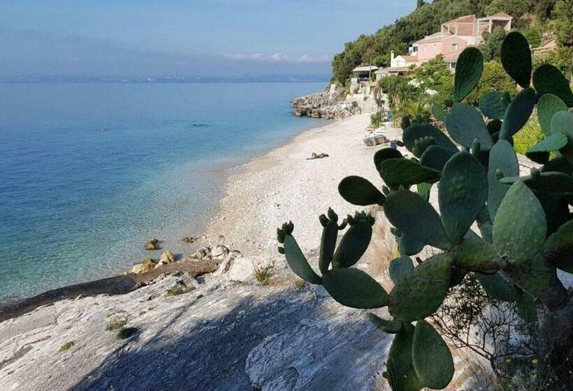 带1个卧室的公寓, Krouzeri Beach Apartments