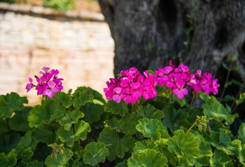 带1个卧室的公寓, Krouzeri Beach Apartments