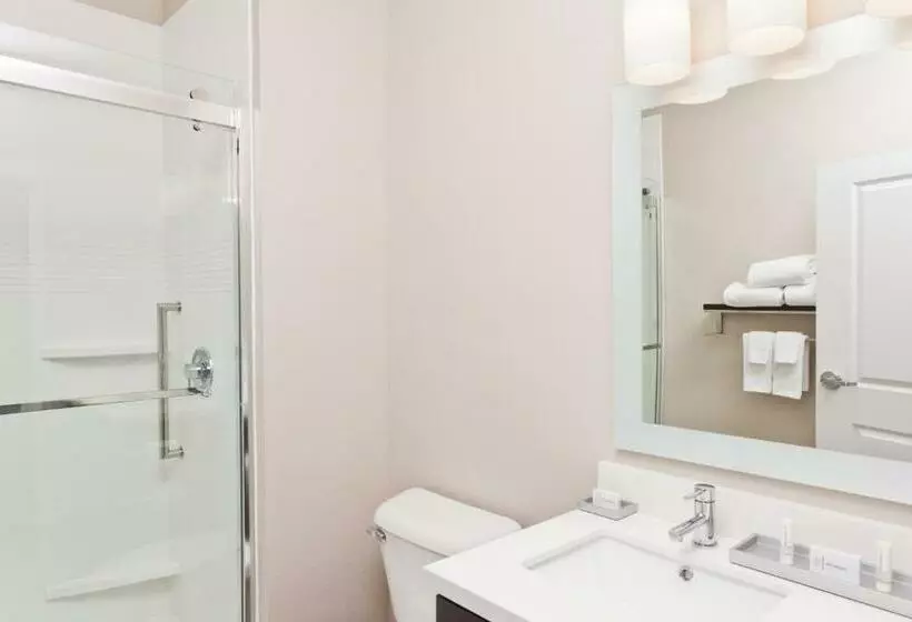 キングサイドベッドのスタンダードワンルーム, Towneplace Suites Dothan