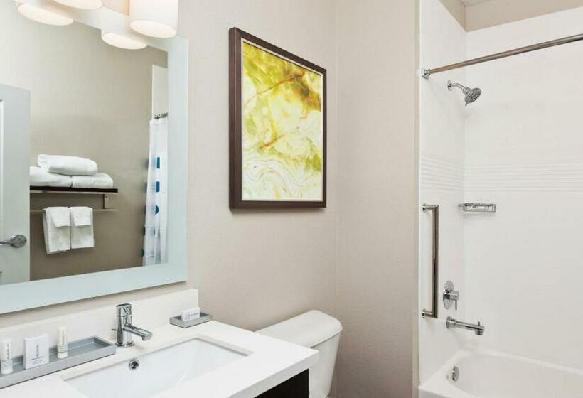 Студия Стандарт, Towneplace Suites Dothan