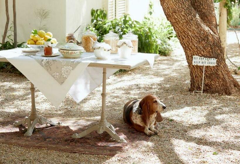 스위트, Prince Albert Country Stay