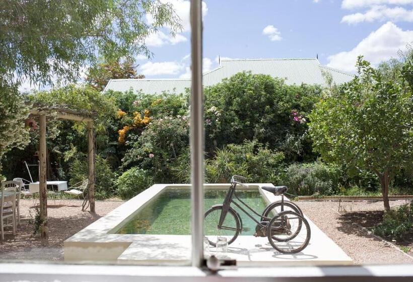 غرفة كومفورت, Prince Albert Country Stay