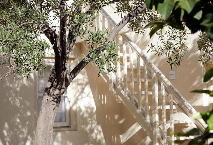 غرفة قياسية, Prince Albert Country Stay