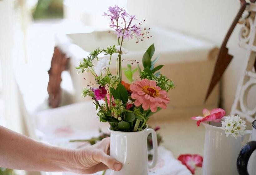 غرفة كومفورت, Prince Albert Country Stay