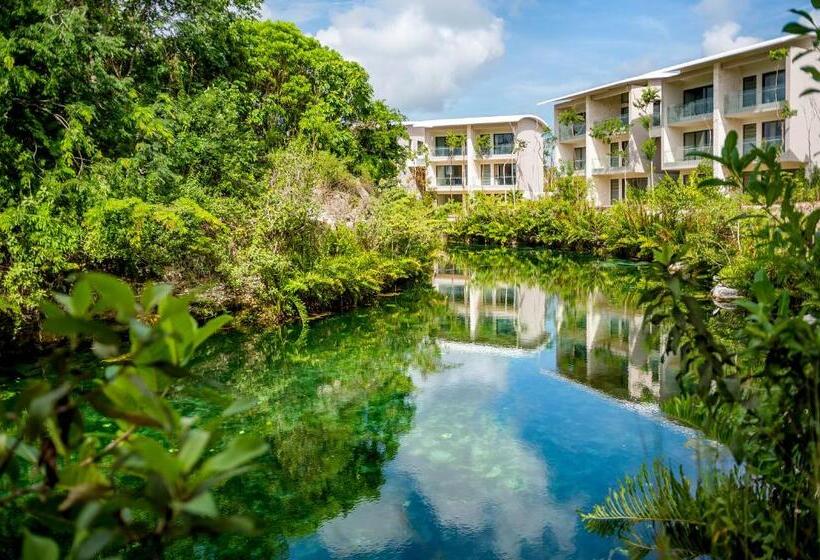 ２ダブルベッドのスタンダードルーム, Andaz Mayakoba Resort Riviera Maya, By Hyatt