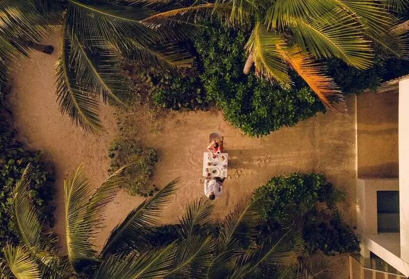 スタンダードスタジオ, Andaz Mayakoba Resort Riviera Maya, By Hyatt