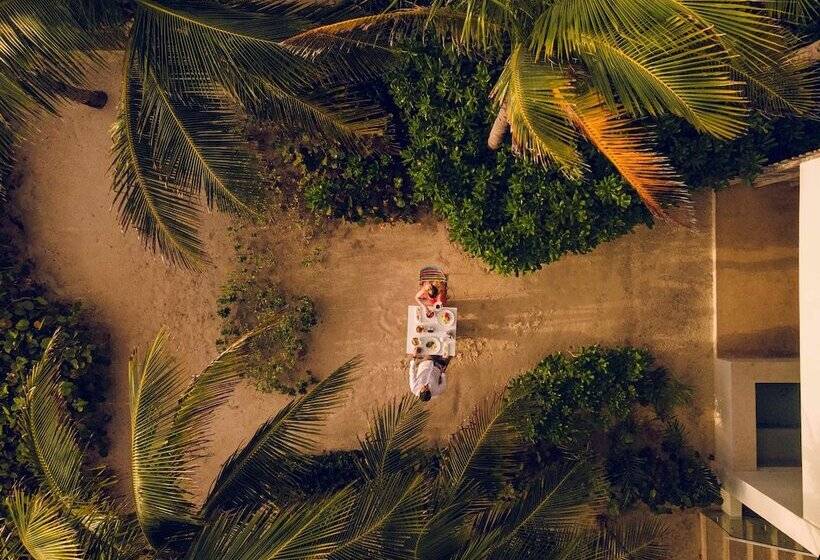 اتاق استاندارد با 2 تخت دوبل, Andaz Mayakoba Resort Riviera Maya, By Hyatt