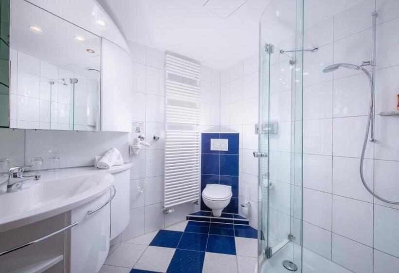 Quarto Estandar para Deficientes Físicos, Das Allgäu