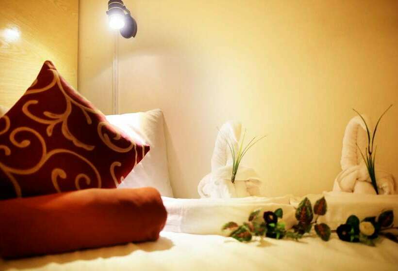 تختخواب در اتاق مشترک, Like Backpacker Hostel