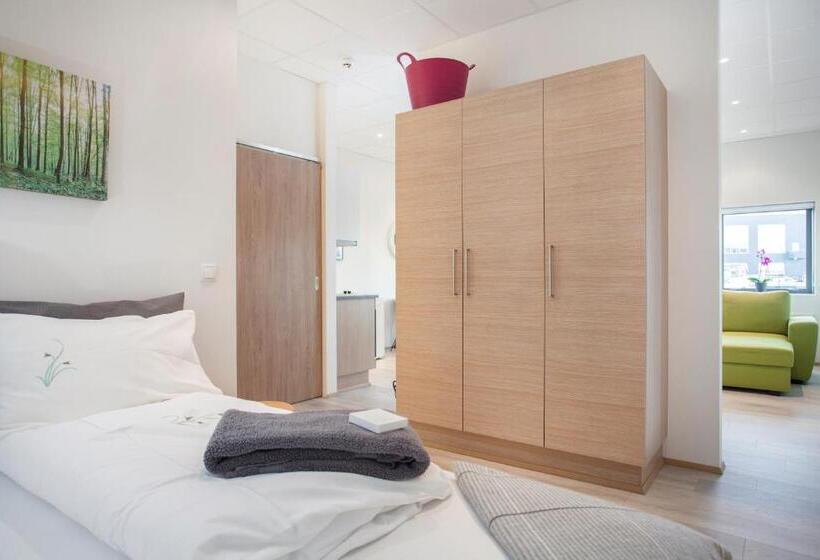 استودیو خانوادگی, Blue Mountain Apartments By Heimaleiga