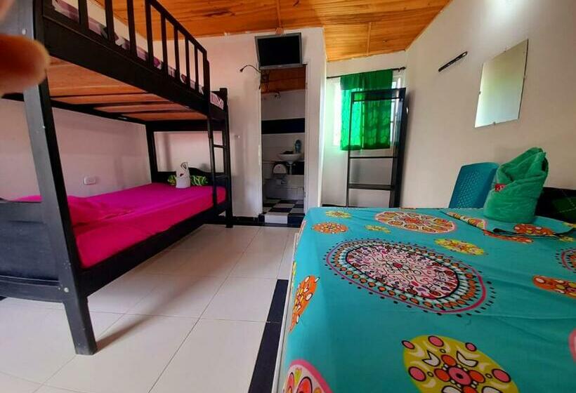 4인용 스탠다드 룸, Minca Express Relax Base Camp