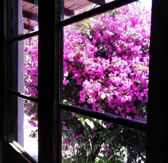 ベーシックトリプルルーム, Boutique La Cueva De La Luna, El Arte Se Hace Descanso