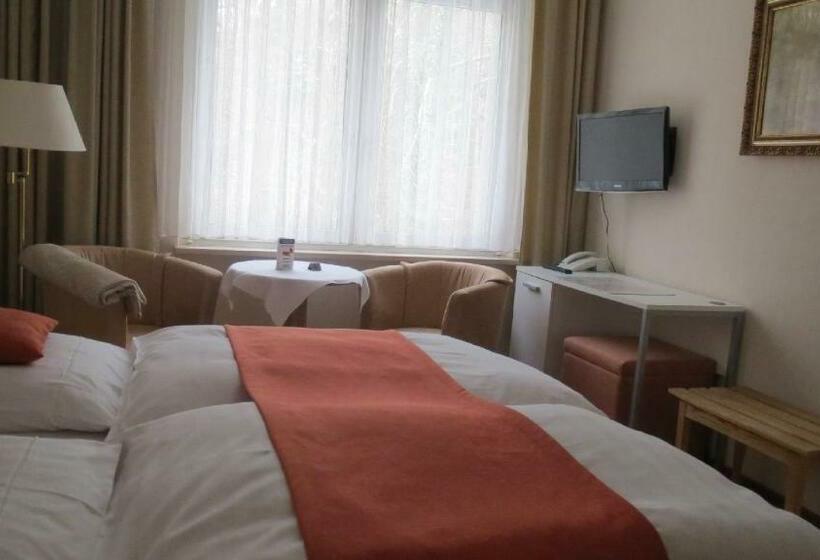 חדר סטנדרט, Pension Thiel