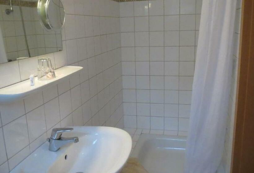 חדר סטנדרט יחיד, Pension Thiel