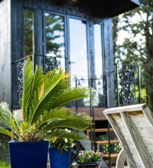 Номер Стандарт, Sous Les Platanes B&b