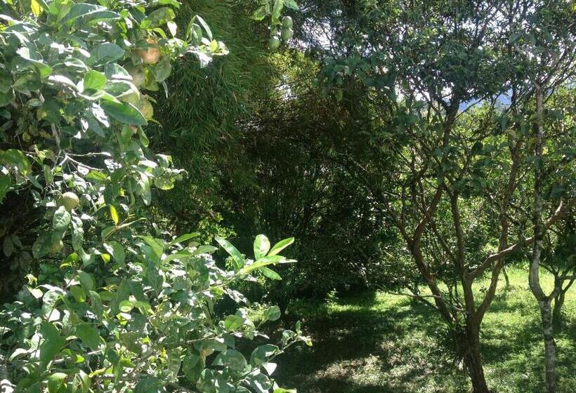 Standardzimmer, Casa De Piedra