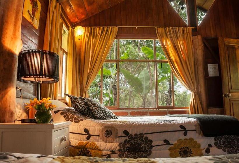 Standard Bungalow, Casa De Piedra