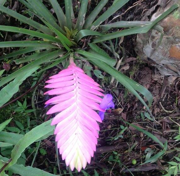 Standard 5-Personen Zimmer, Casa De Piedra