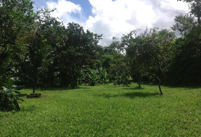 Standard 5-Personen Zimmer, Casa De Piedra