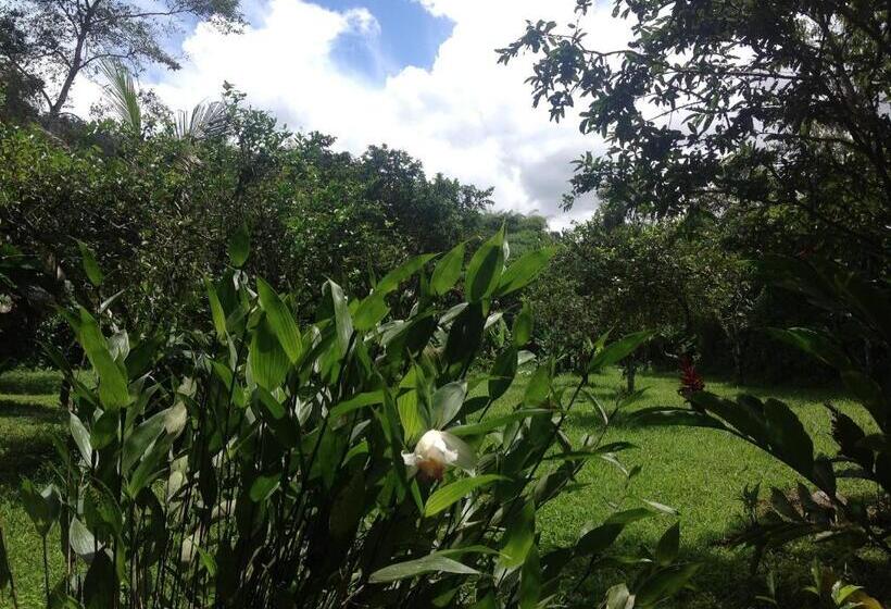 Standard 5-Personen Zimmer, Casa De Piedra