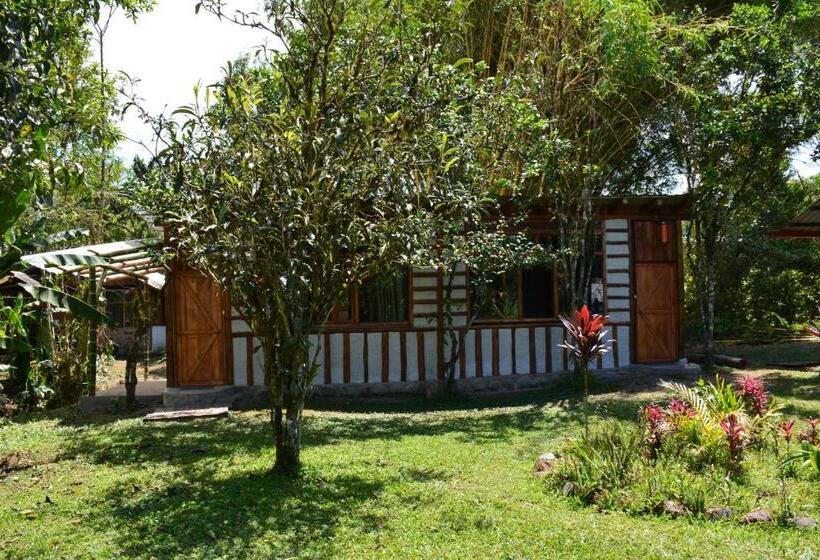 בקתה סופריור, Casa De Piedra