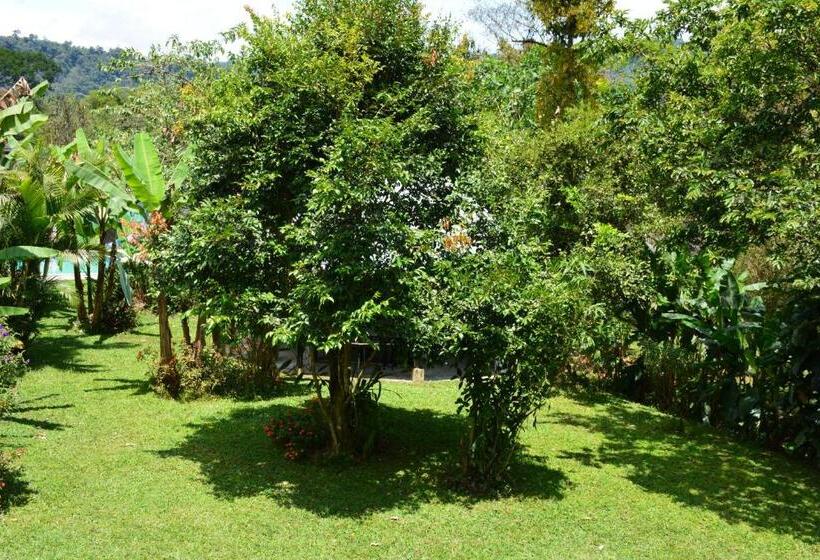 Superior Bungalow, Casa De Piedra