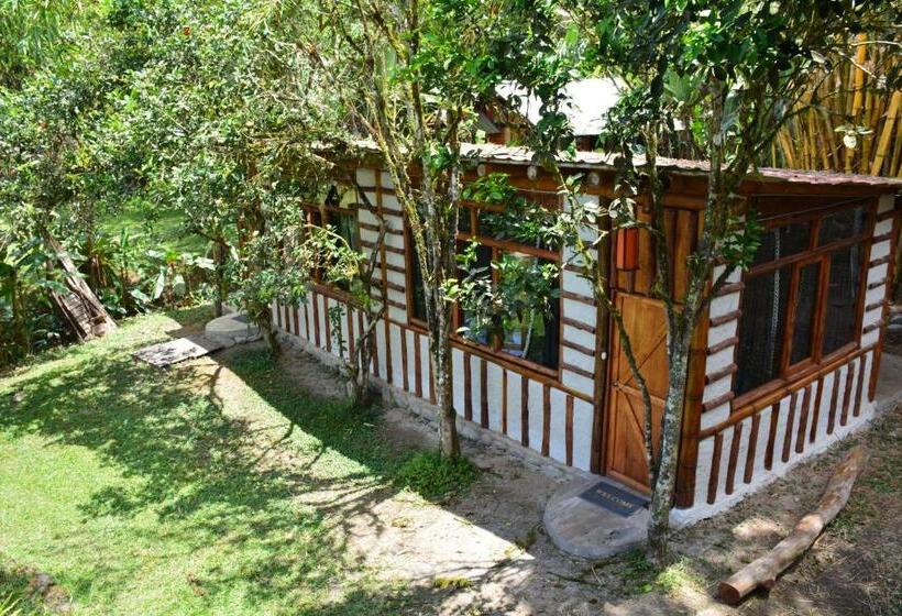 Superior Bungalow, Casa De Piedra