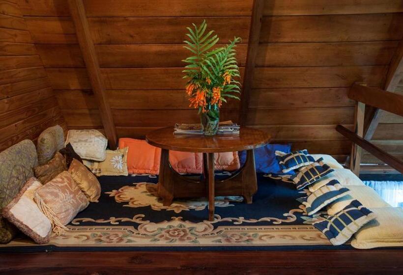 1 Schlafzimmer Penthouse Apartment, Casa De Piedra